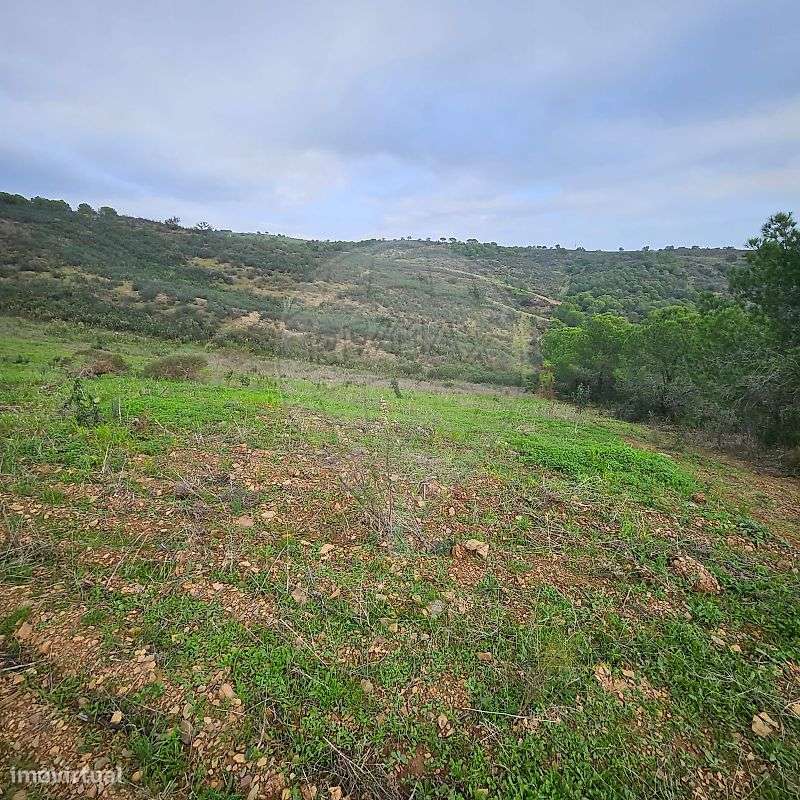 Terreno  para venda - Grande imagem: 5/16