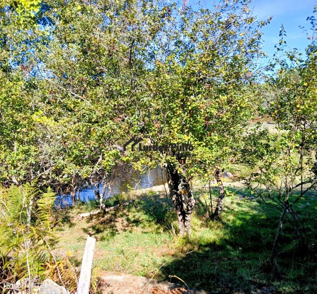 Duas moradias à beira da ribeira-29