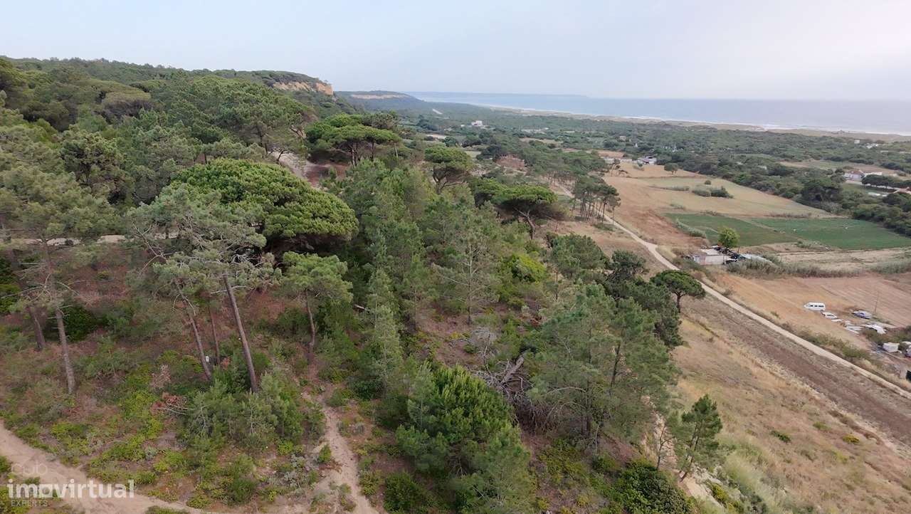 Terreno Rústico com Vista Mar e Potencial Ecológico-19