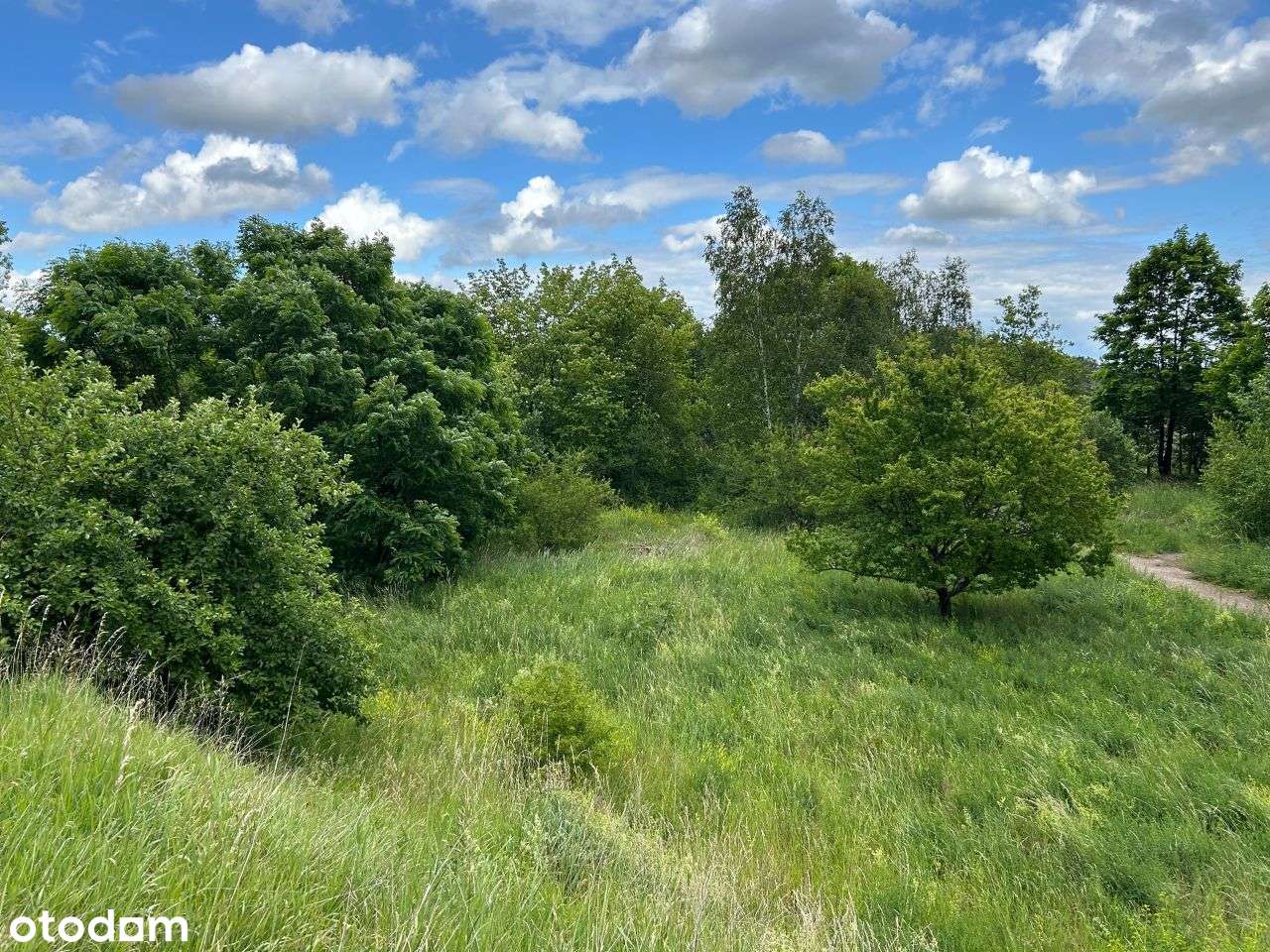 Atrakcyjna cenowo nieruchomość pod inwestycje-9