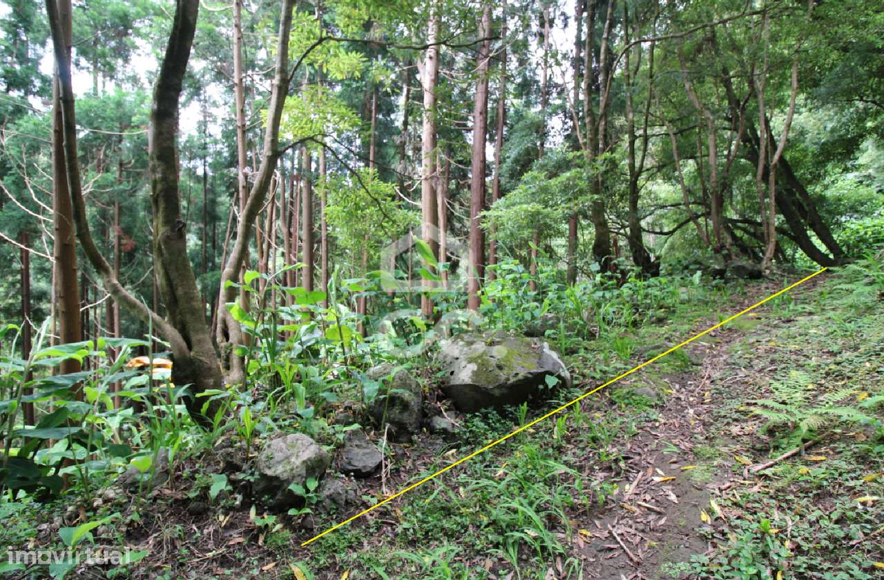 Terreno com 696,00 m2 - Lomba da Fazenda - Nordeste - Grande imagem: 4/8