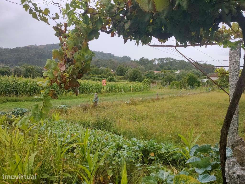 Terreno - Grande imagem: 4/7