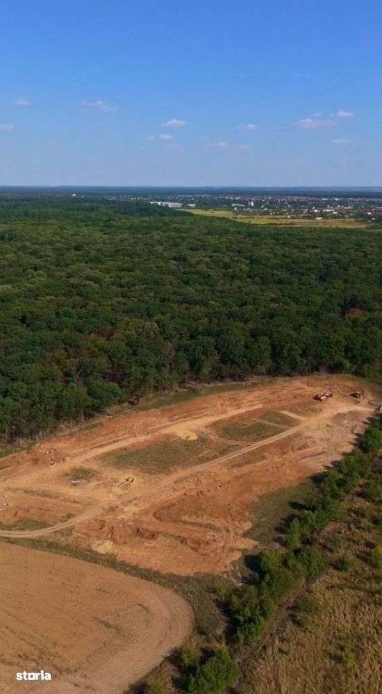 Lot de teren, padurea Snagov - Ciolpani - mega reduceri de pret!-13
