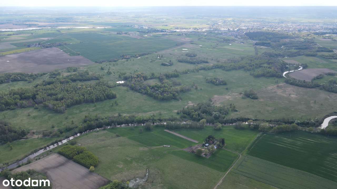 Działki rolne 247 ha / las / linia brzegowa rzeki Łyny / potencjał OZE-5