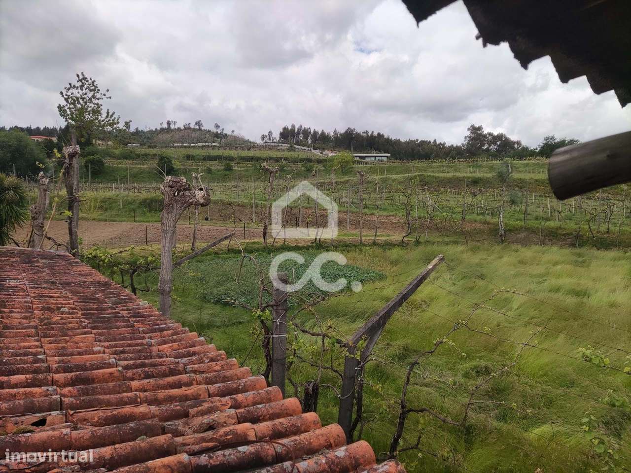 Quinta em Gominhães - Guimarães - Grande imagem: 3/42