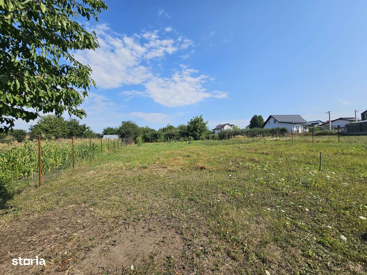 Teren intravilan 1400mp pentru constructii case in Aroneanu, cu livada - Imagine principală: 5/6