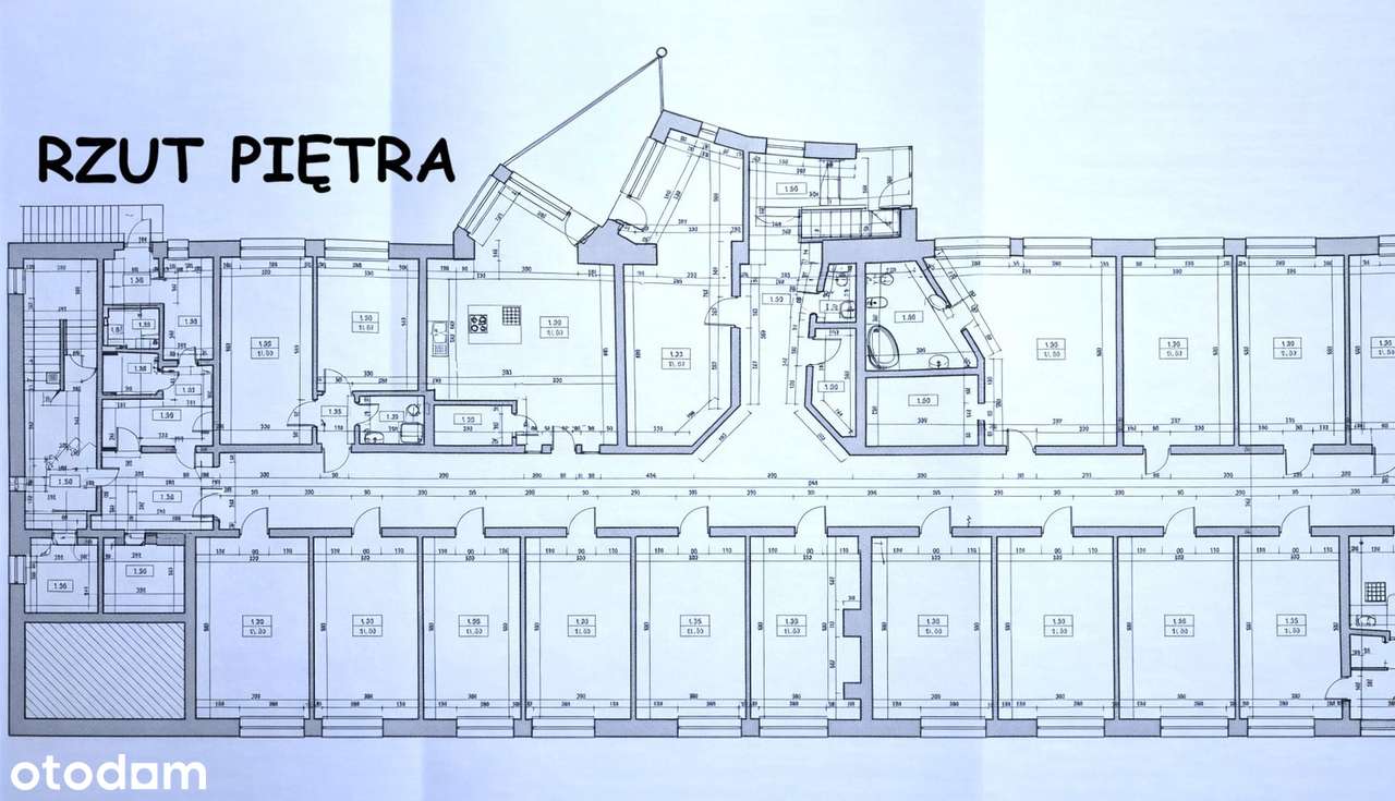 Polecamy czynny zakład rozbioru drobiu plus hostel!-19