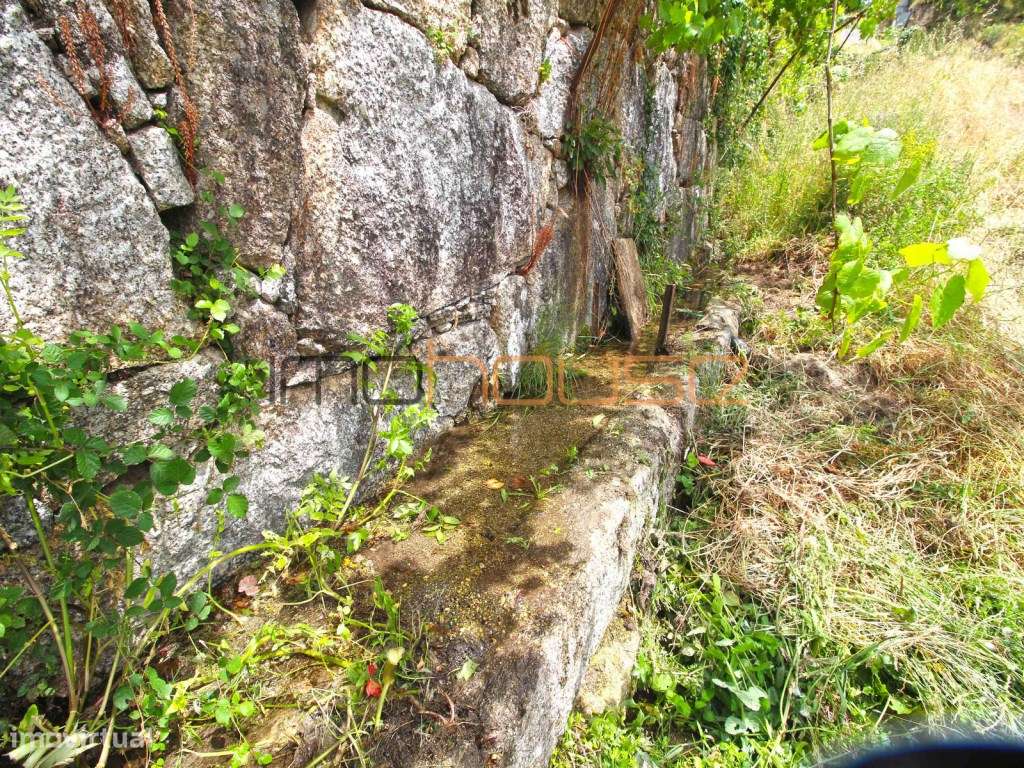 Quinta do séc. 18 - Amarante-42