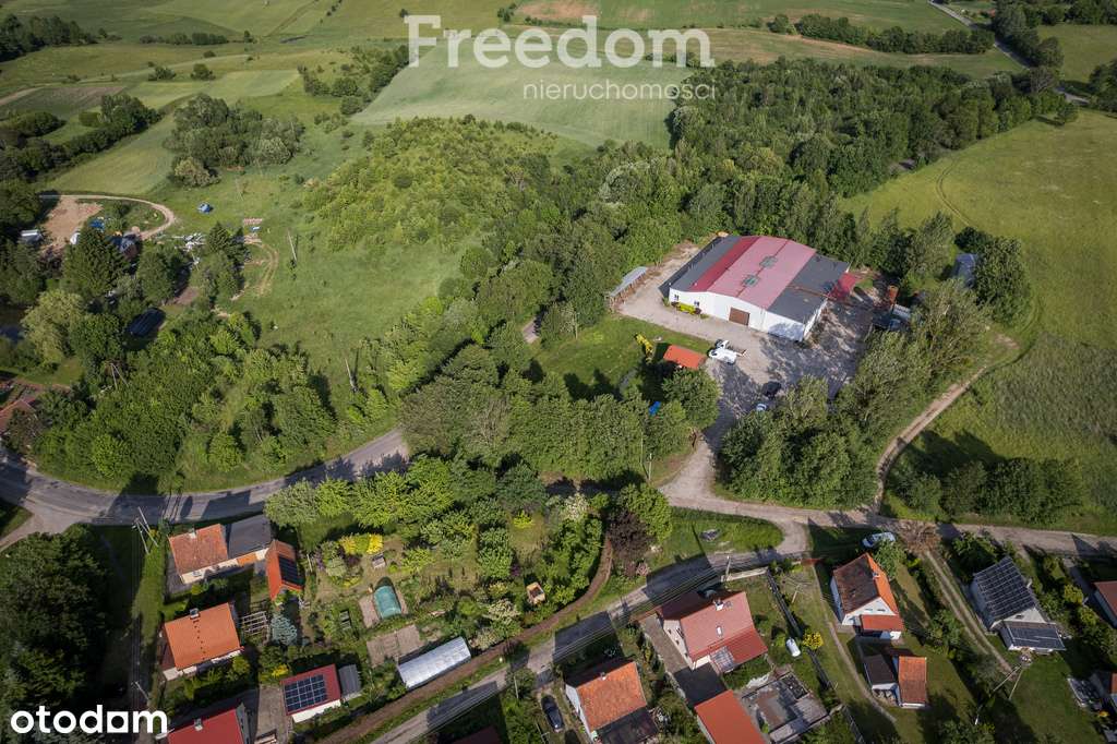 Ramsowo - gotowa hala produkcyjno-magazynowa - Pełny obrazek: 3/11