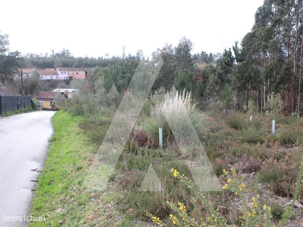 Terreno para Construção - Grande imagem: 3/21