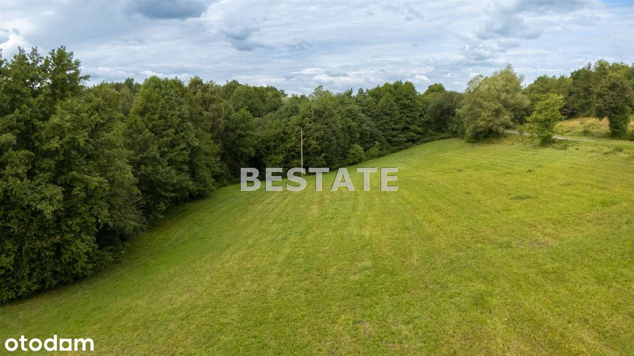 Działka na sprzedaż, Rzepiennik Strzyżewski - Pełny obrazek: 4/11