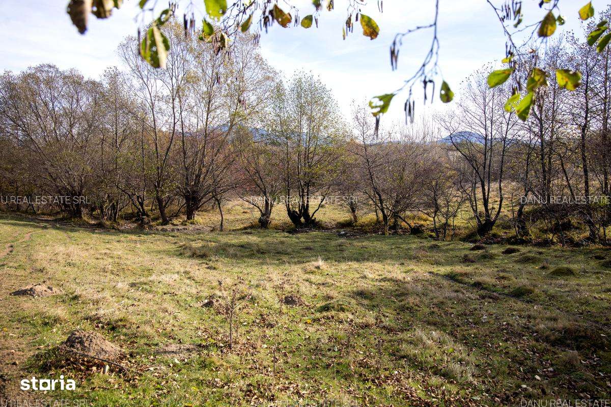 Comision0Teren intravilan 5723mp Zarnesti Tohanita-investitie - turism-6