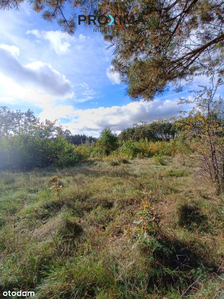 Działka Inwestycyjna – Dąbrówka, Gmina Luzino, Pow-10