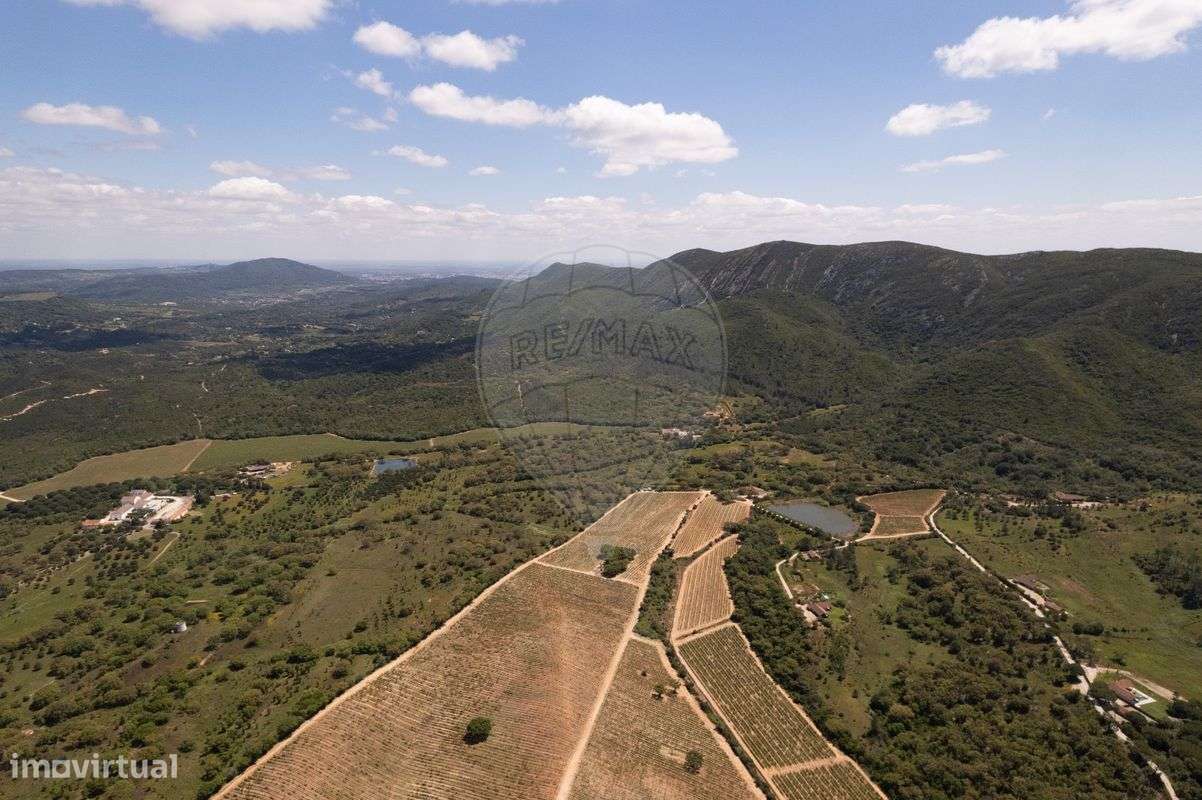 Terreno  para venda - Grande imagem: 5/11