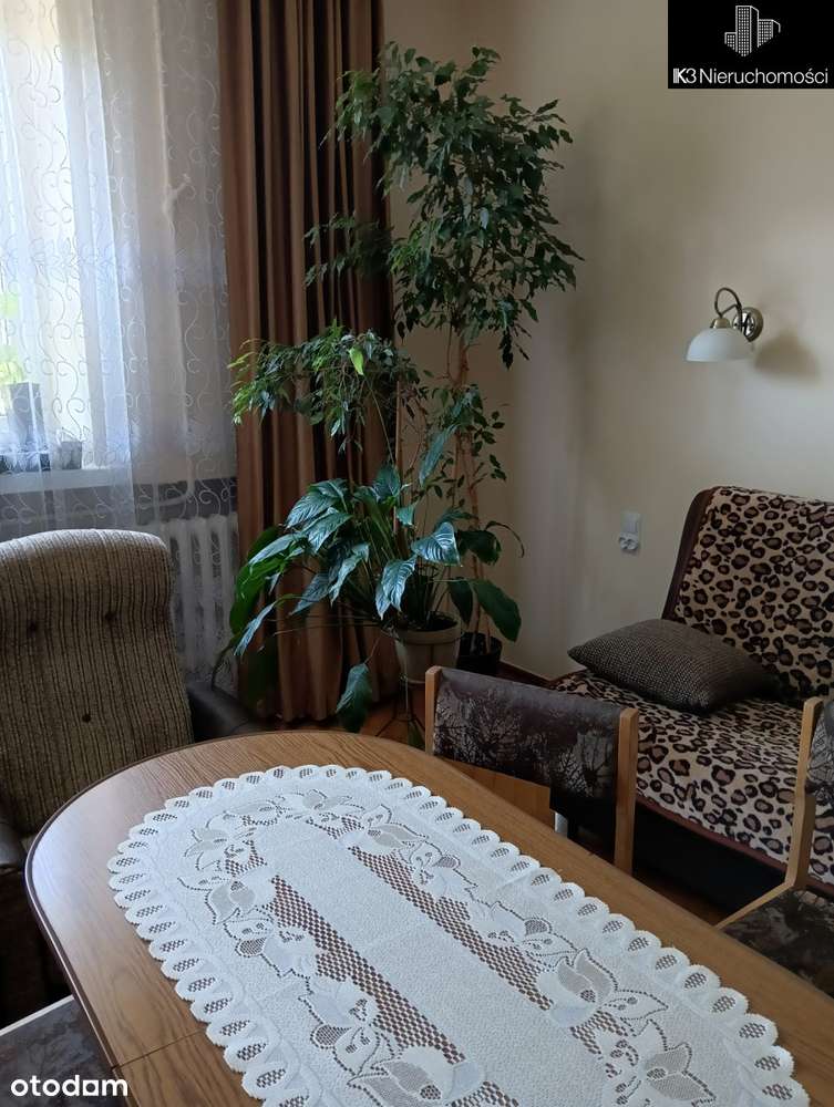 Przestronne 3-pok mieszkanie przy lesie + strych - Pełny obrazek: 2/20