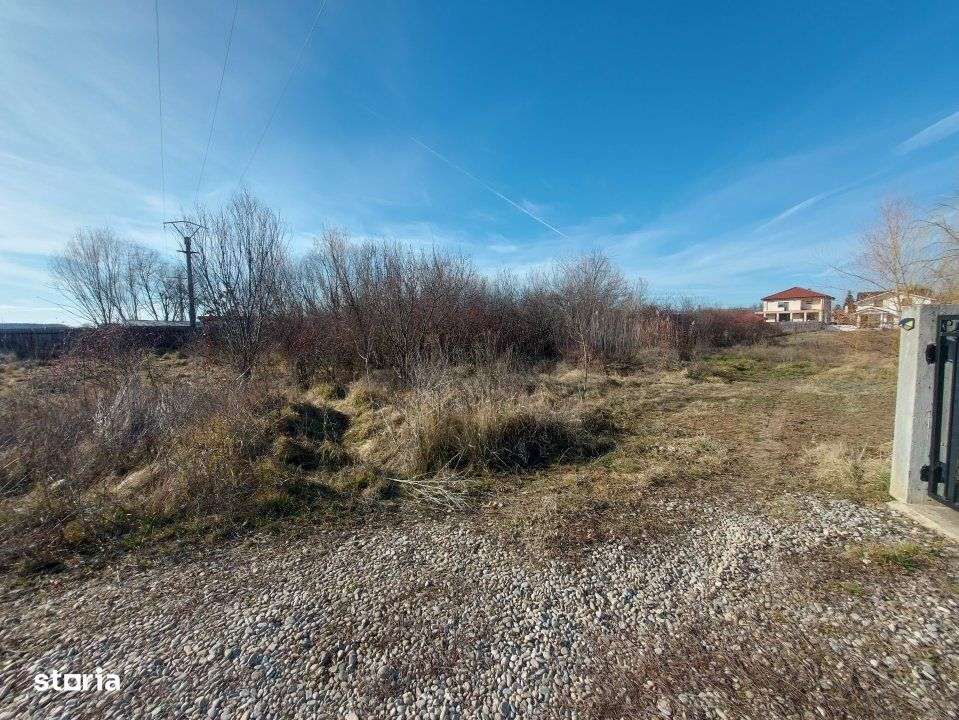 Loc de casa cu utilitati, 944mp cu 29m deschidere, Ciofliceni - Snagov-9