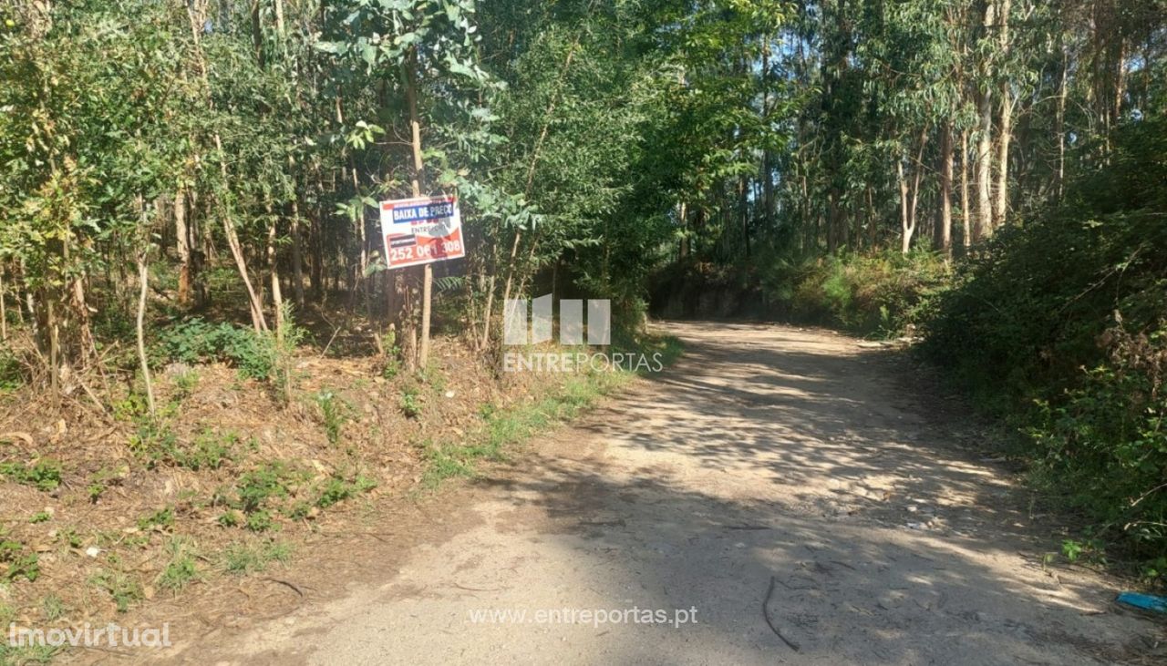 Venda de Terreno com 10.000 m2, Tougues, Vila do Conde