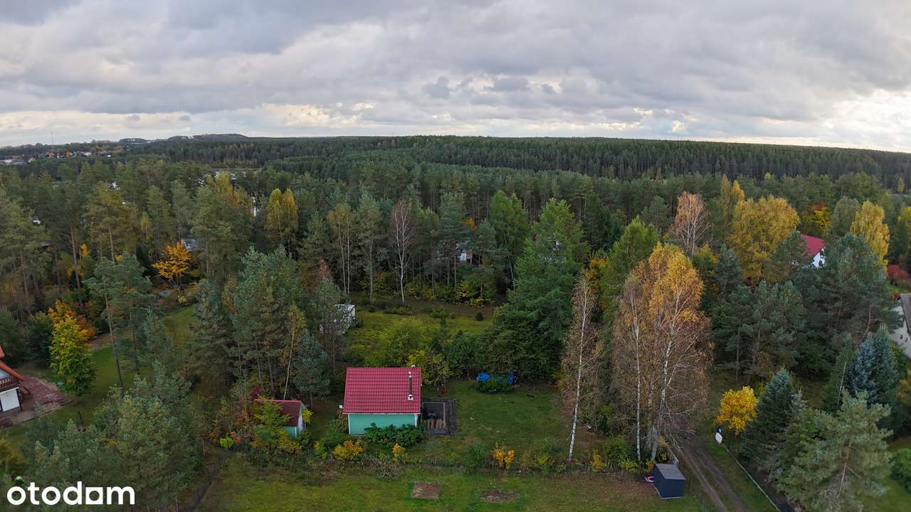 Dom w sercu Kaszub – Twoje prywatne miejsce harmonii | Las  | Jeziora-4