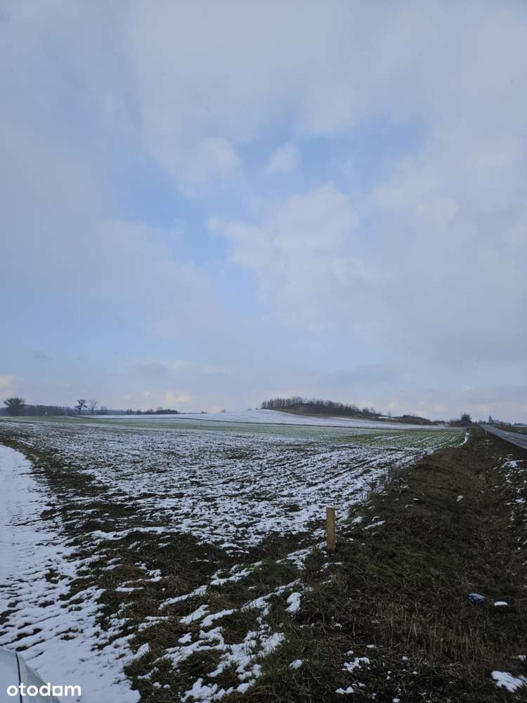 Działka inwestycyjna. Kopalnia piasku, pospółki w pobliżu Wrocławia - Pełny obrazek: 5/5