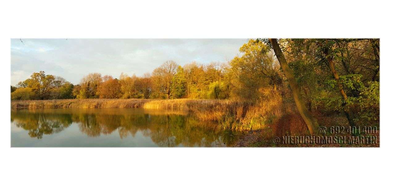 pałac w Niegolewie z parkiem 17 ha w tym rola 6 ha-4