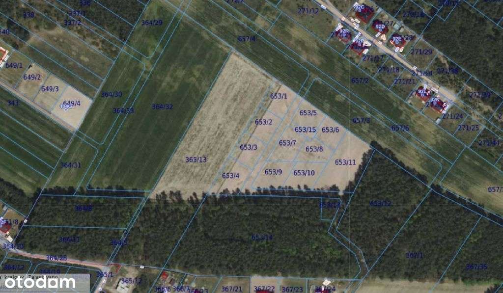 Działka z warunkami zabudowy w pięknym otoczeniu ! - Pełny obrazek: 2/2