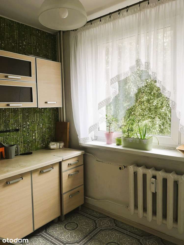 3 pokojowe mieszkanie w Chorzowie II (53 m2). - Pełny obrazek: 5/8