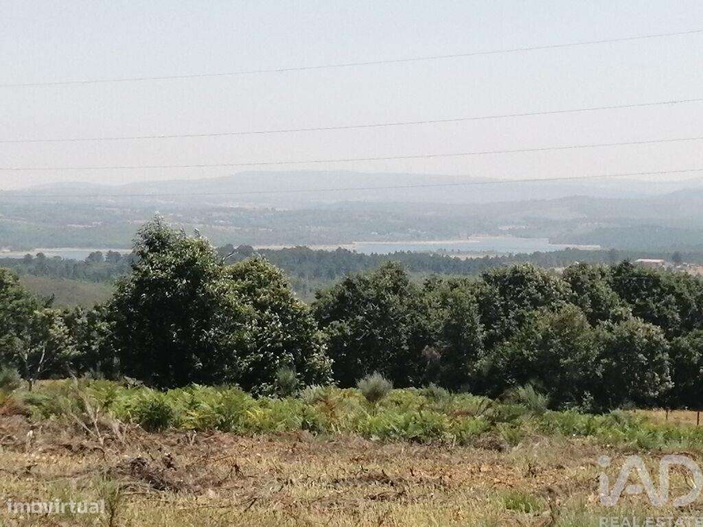 Terreno em Sabugal e Aldeia de Santo António de 56170,00 m2 - Grande imagem: 5/24