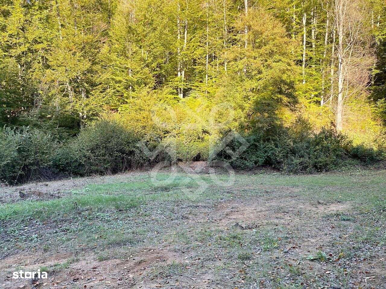 Teren pentru casa de vacanta pe Valea Bratcutei, Bihor - Imagine principală: 3/13