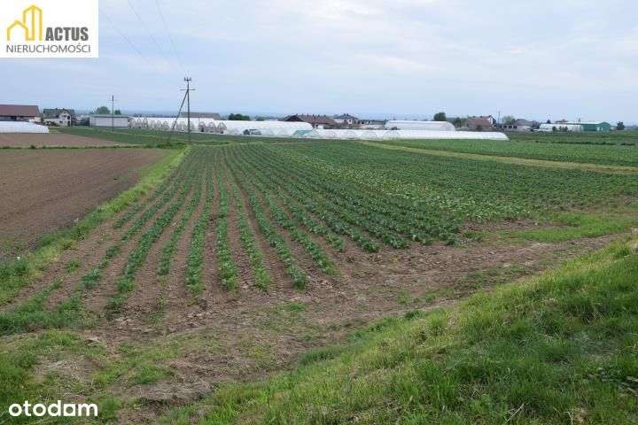 Działka 12 ar Tropiszów blisko do Krakowa - Pełny obrazek: 4/6