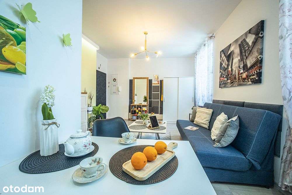 Na sprzedaż klimatyczne mieszkanie 24 m2 Bałuty-3