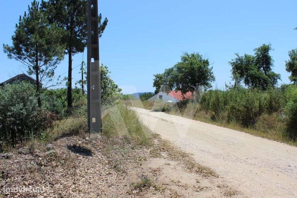 Terreno 4680 m2 - Venda  Chousa  Serra Junceira -Tomar - Santarém - Grande imagem: 5/32