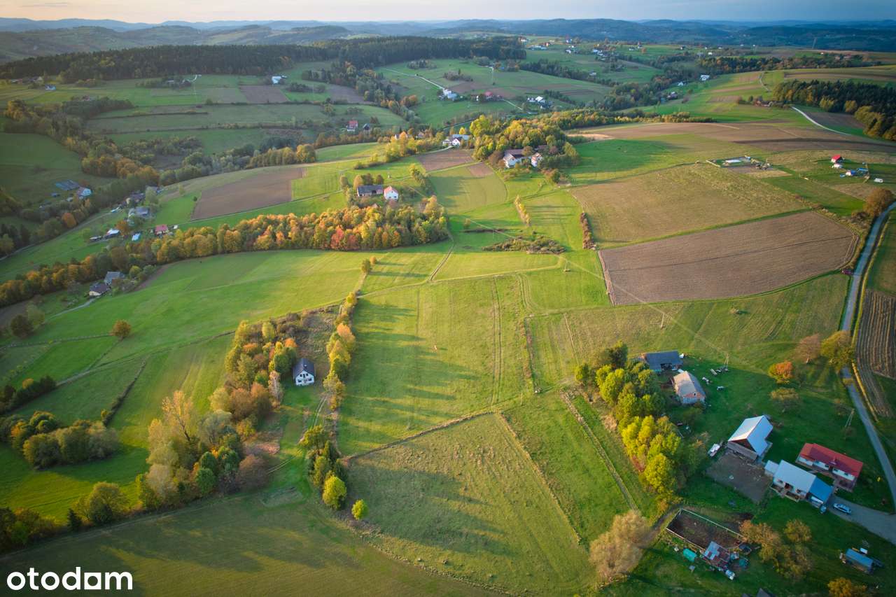Działka budowlana z widokiem na Beskid - Pełny obrazek: 4/5