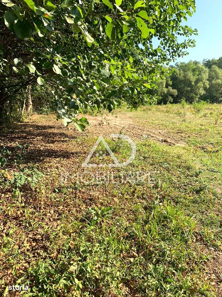 Teren intravilan de vanzare in Polovragi - Imagine principală: 2/5