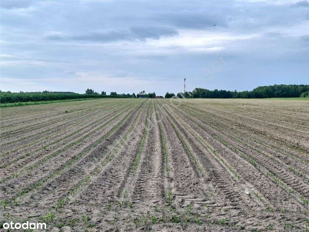 Teren Inwstycyjny-usługowo-produkcyjny Mińska Maz. - Pełny obrazek: 4/5