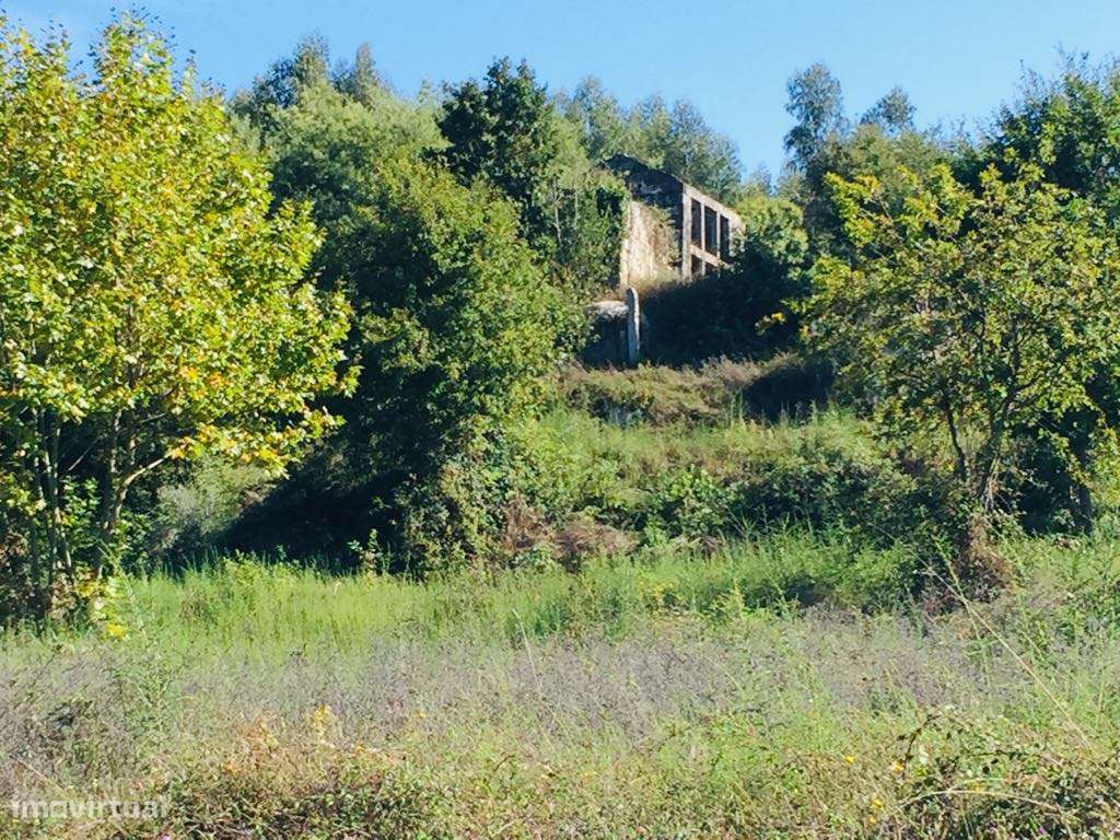 Terreno em Silvares S. Clemente - Grande imagem: 2/2