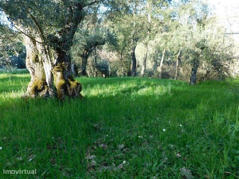 Terreno / Fundão, Telhado - Grande imagem: 5/5