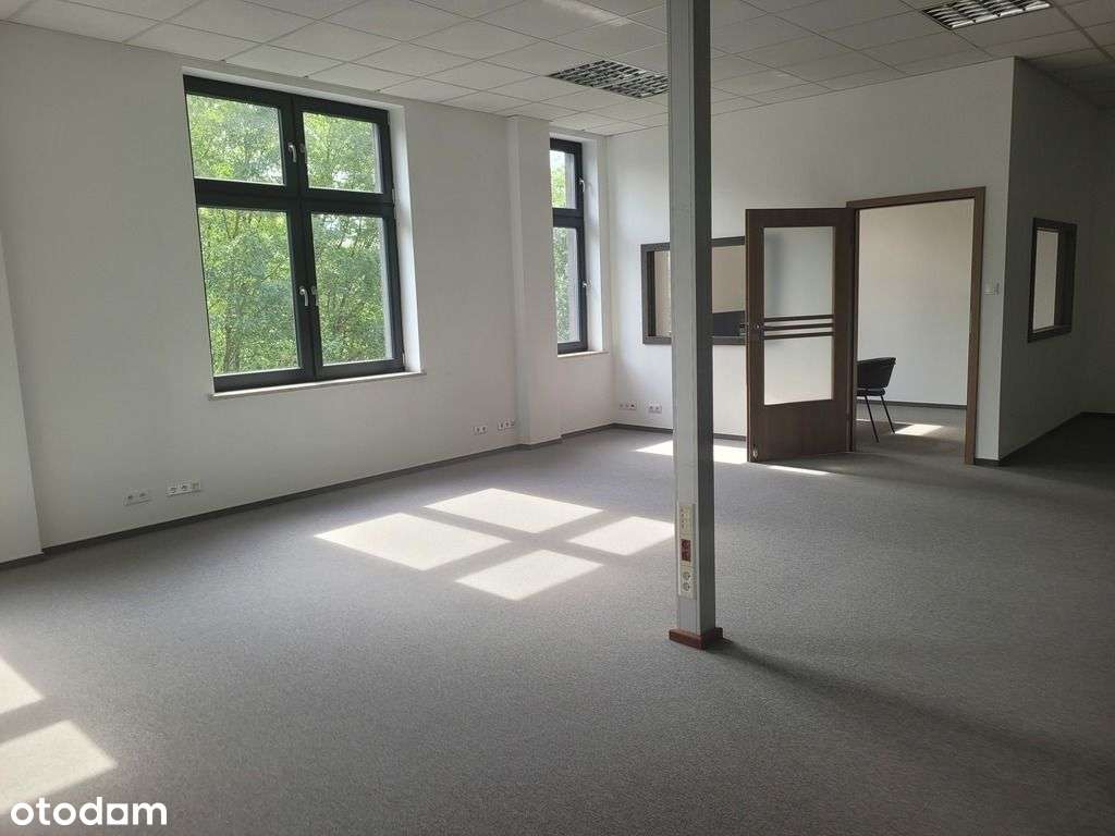 Hala Ożarów/Bronisze - Pełny obrazek: 5/11