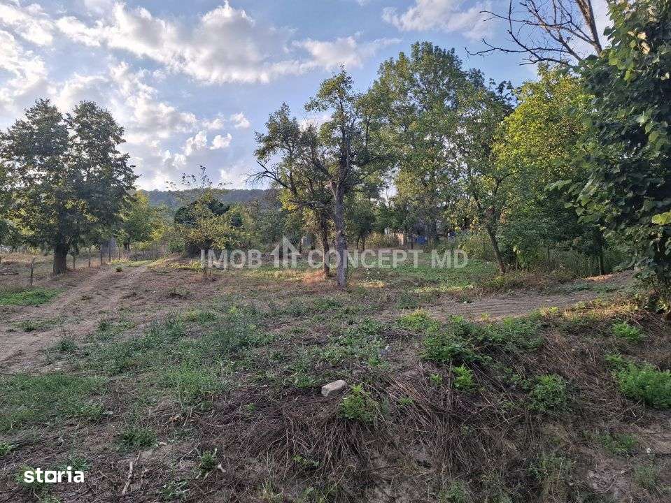 Teren spectaculos cu padure, livada si priveliste panoramica in Soimar-2