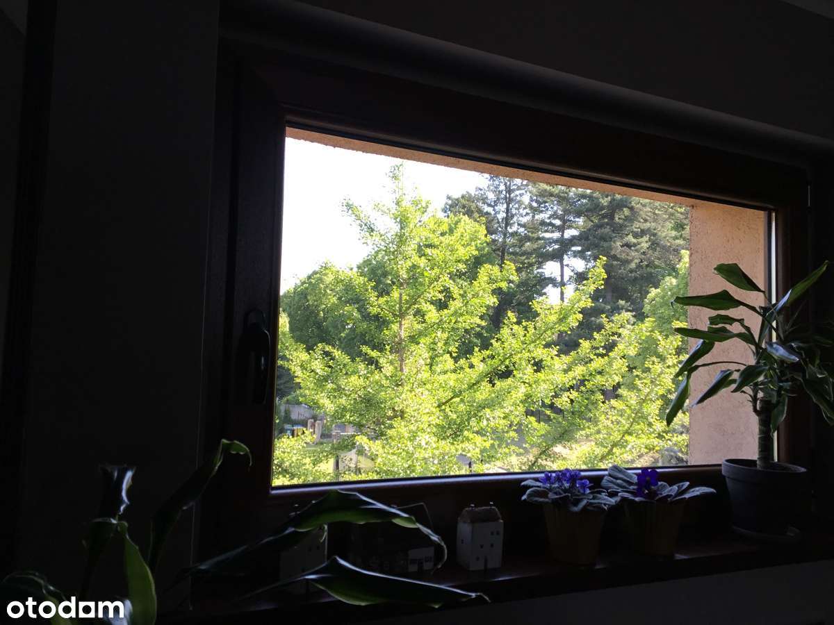 Jedyna w swoim rodzaju, osobliwa nieruchomosc. - Pełny obrazek: 5/18