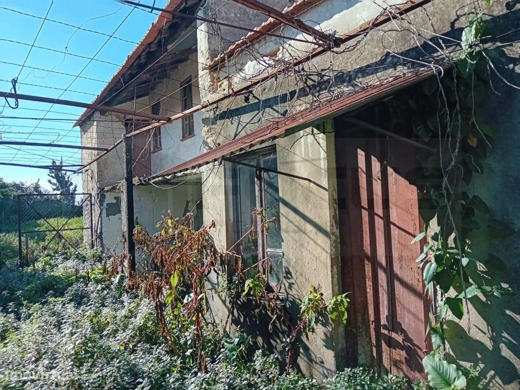 Moradia térrea em restauro - Esgueira / Mataduços - Grande imagem: 1/21
