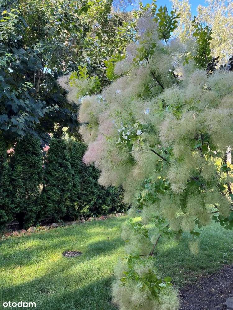 Dom w malowniczym zakątku Bydgoszczy!!!-1