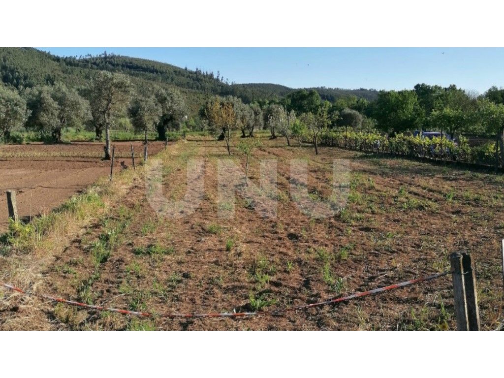 TERRENO RÚSTICO PARA VENDA EM PAÚL, COVILHÃ.