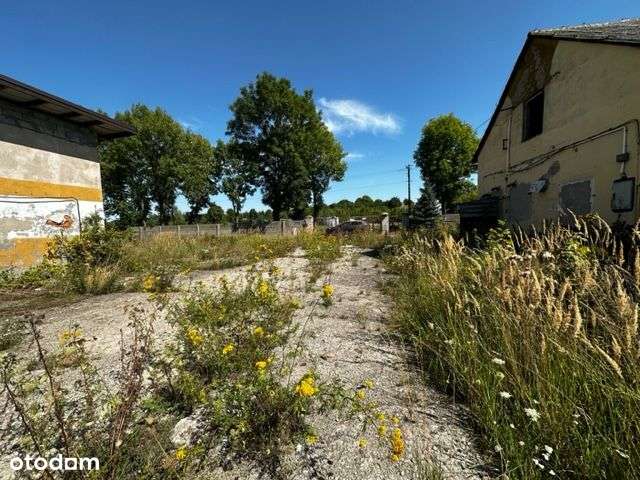 Działka 8400m2, budynki 800m2, Zamoście Kolonia - Pełny obrazek: 5/20