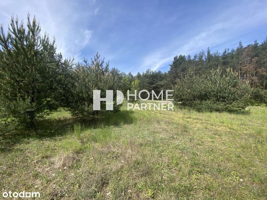 Marynin bezp. przy Mazowieckiej, pod dom i usługi-15