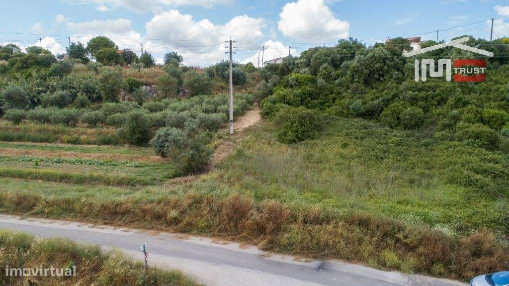 Terreno Rústico - Almoster - Grande imagem: 3/7