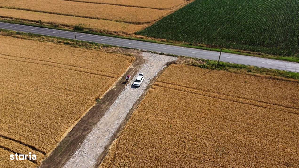 Intravilan In Rate in Frumusani-Pasarea | utilitati gaz, curent | #RG1 - Imagine principală: 1/9