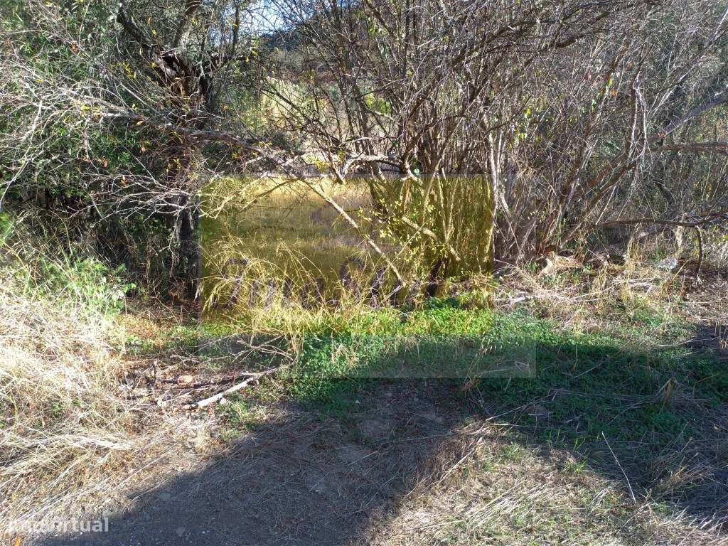 Terreno rustico em Guerreiros do Rio - Grande imagem: 5/9