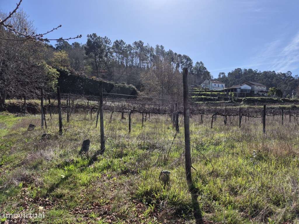 Terreno para Construção de Moradia - Grande imagem: 3/7