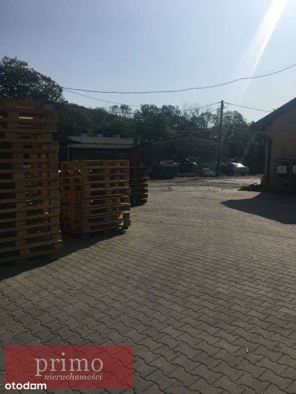 Hala/Magazyn, 1 730 m², Drogomyśl - Pełny obrazek: 4/9