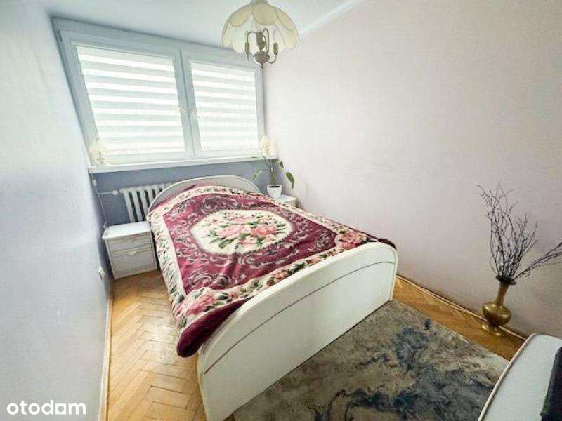 3 pokoje punktowiec przy Sienkiewicza!!-3